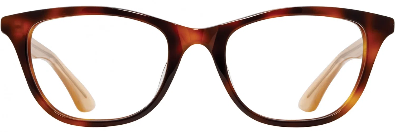 American Optical BLAIR Eyeglasses - view 4